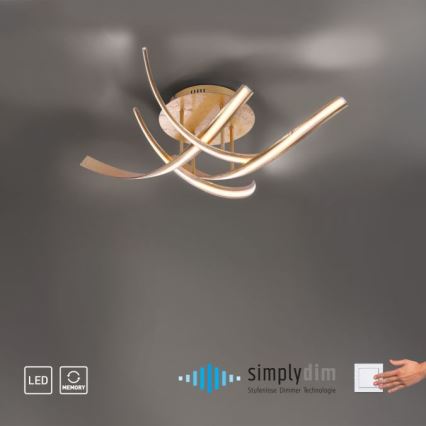Paul Neuhaus 6474-12 - LED Dimmable surface-mounted chandelier LINDA 4xLED/7W/230V