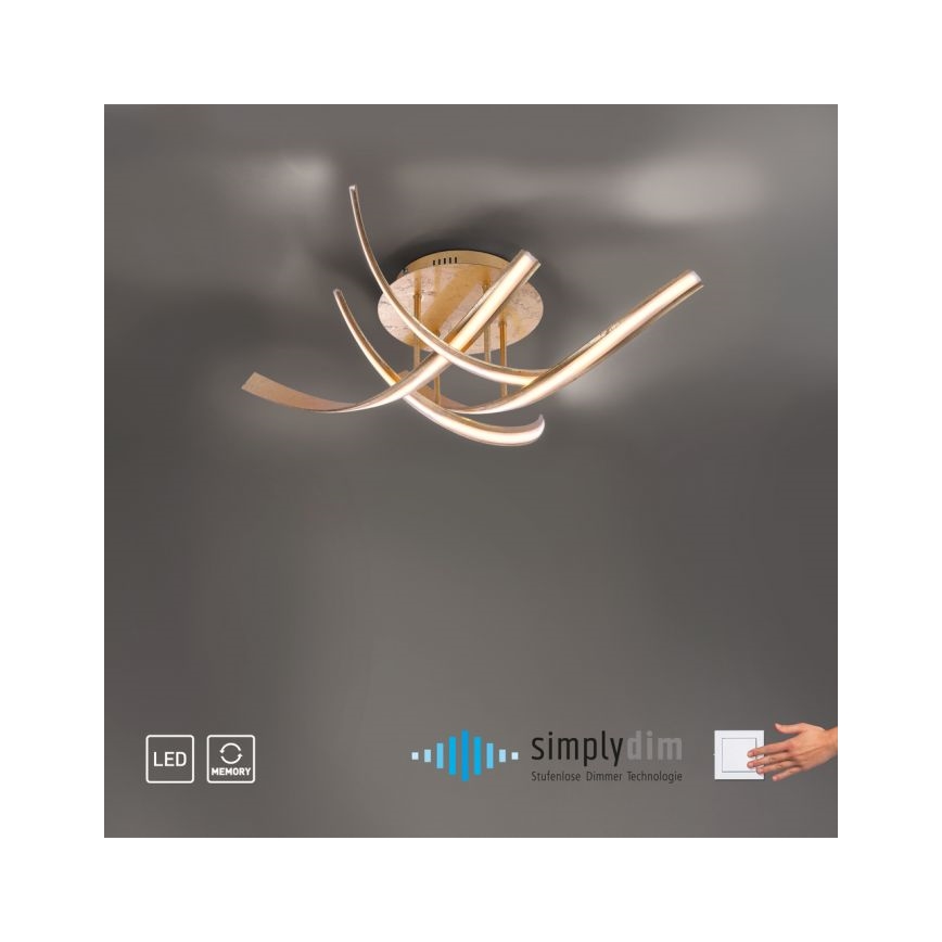 Paul Neuhaus 6474-12 - LED Dimmable surface-mounted chandelier LINDA 4xLED/7W/230V