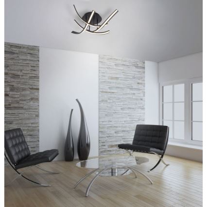Paul Neuhaus 6474-48 - LED Dimmable surface-mounted chandelier LINDA 4xLED/7W/230V
