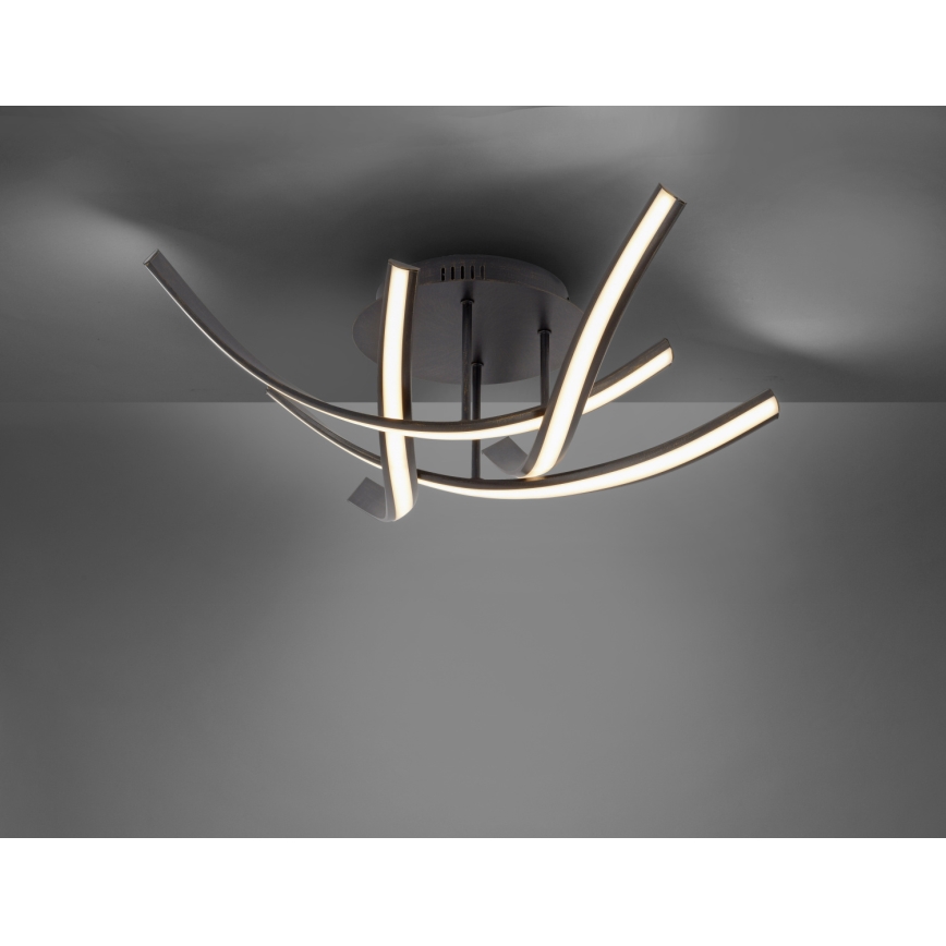 Paul Neuhaus 6474-48 - LED Dimmable surface-mounted chandelier LINDA 4xLED/7W/230V