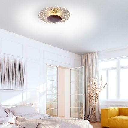 Paul Neuhaus 6551-48 - LED Dimmable ceiling light NEVIS LED/18W/230V