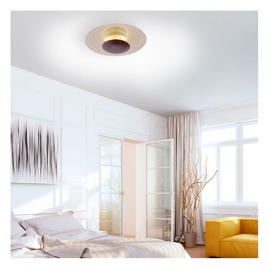 Paul Neuhaus 6551-48 - LED Dimmable ceiling light NEVIS LED/18W/230V