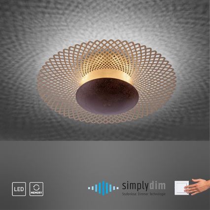 Paul Neuhaus 6551-48 - LED Dimmable ceiling light NEVIS LED/18W/230V
