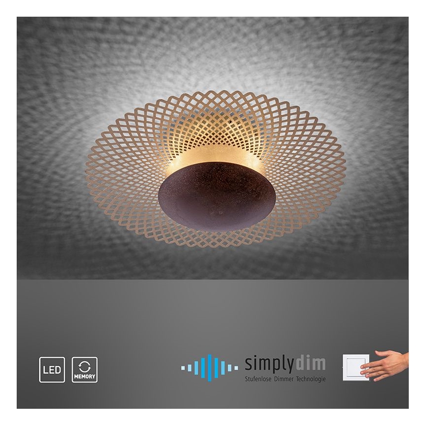 Paul Neuhaus 6551-48 - LED Dimmable ceiling light NEVIS LED/18W/230V