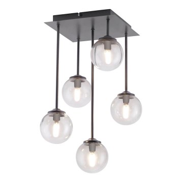 Paul Neuhaus 6719-18 - LED Chandelier on a pole WIDOW 5xG9/3W/230V