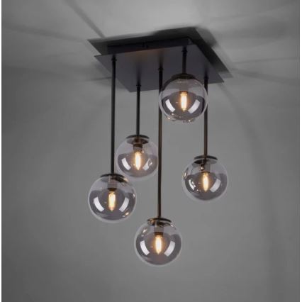 Paul Neuhaus 6719-18 - LED Chandelier on a pole WIDOW 5xG9/3W/230V