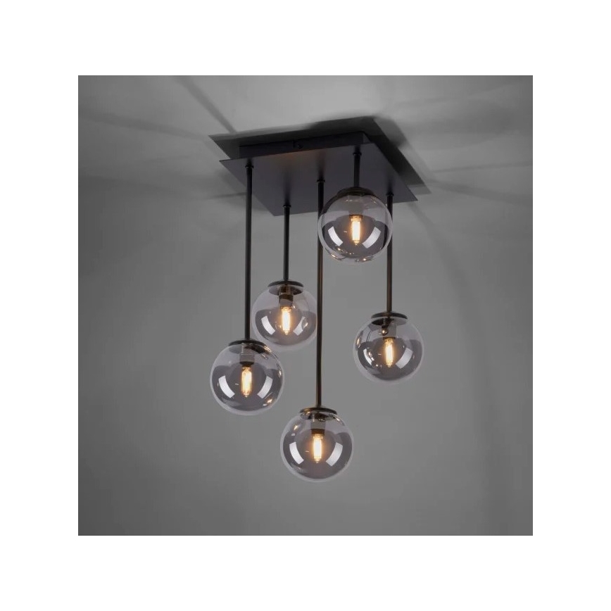 Paul Neuhaus 6719-18 - LED Chandelier on a pole WIDOW 5xG9/3W/230V