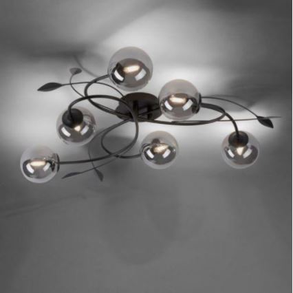 Paul Neuhaus 6737-18 - LED Surface-mounted chandelier WIDOW 6xG9/3W/230V