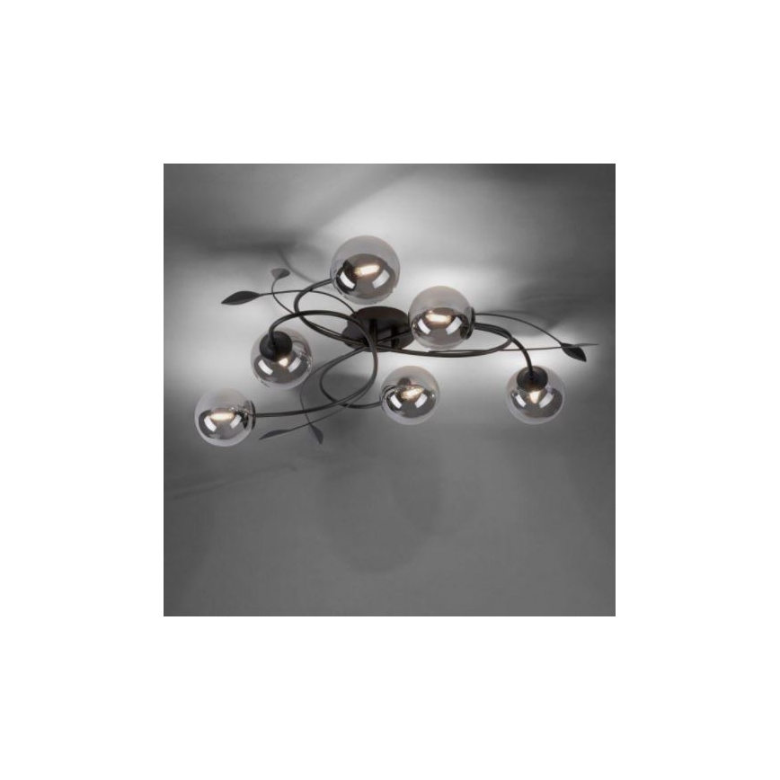 Paul Neuhaus 6737-18 - LED Surface-mounted chandelier WIDOW 6xG9/3W/230V