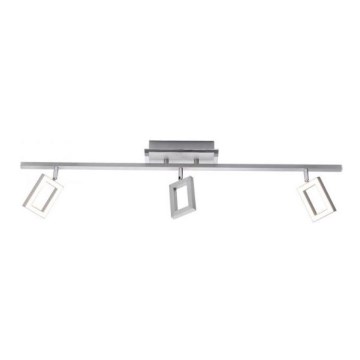 Paul Neuhaus 6959-55 - LED Spotlight INIGO 3xLED/4,2W/230V