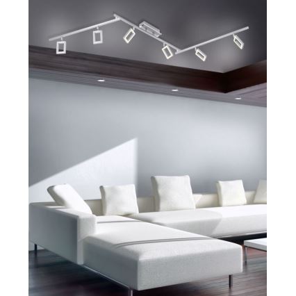 Paul Neuhaus 6965-55 - LED Dimmable spotlight INIGO 6xLED/4W/230V