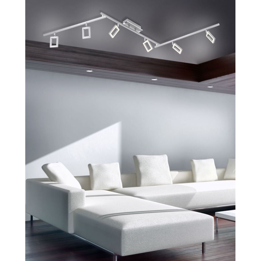 Paul Neuhaus 6965-55 - LED Dimmable spotlight INIGO 6xLED/4W/230V