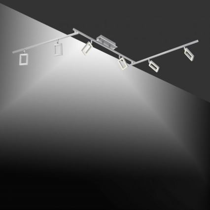 Paul Neuhaus 6965-55 - LED Dimmable spotlight INIGO 6xLED/4W/230V