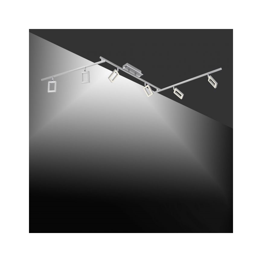 Paul Neuhaus 6965-55 - LED Dimmable spotlight INIGO 6xLED/4W/230V