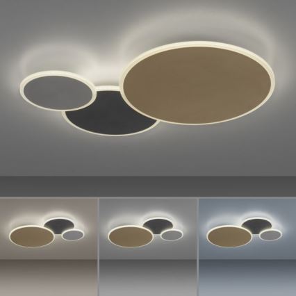 Paul Neuhaus 8007-70 - LED Dimmable ceiling light Q-PIATO LED/35W/230V 2700-5000K Wi-Fi + remote control