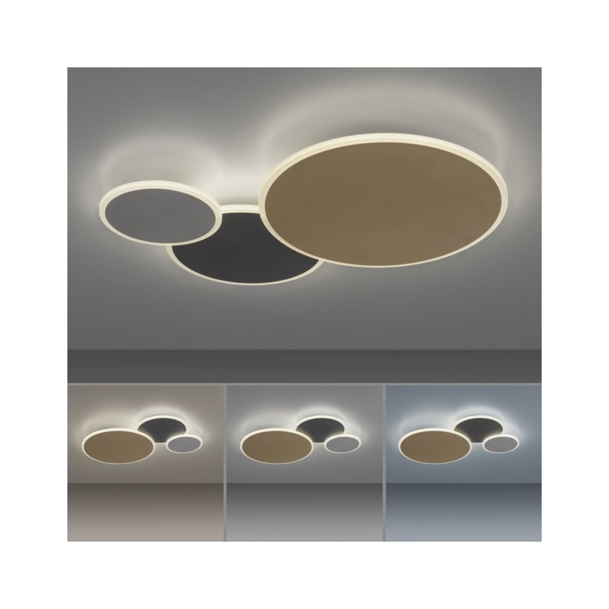Paul Neuhaus 8007-70 - LED Dimmable ceiling light Q-PIATO LED/35W/230V 2700-5000K Wi-Fi + remote control