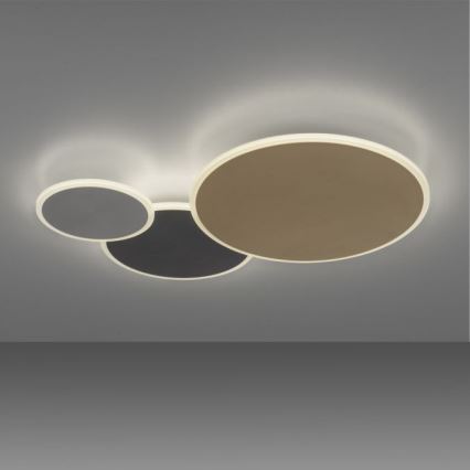 Paul Neuhaus 8007-70 - LED Dimmable ceiling light Q-PIATO LED/35W/230V 2700-5000K Wi-Fi + remote control