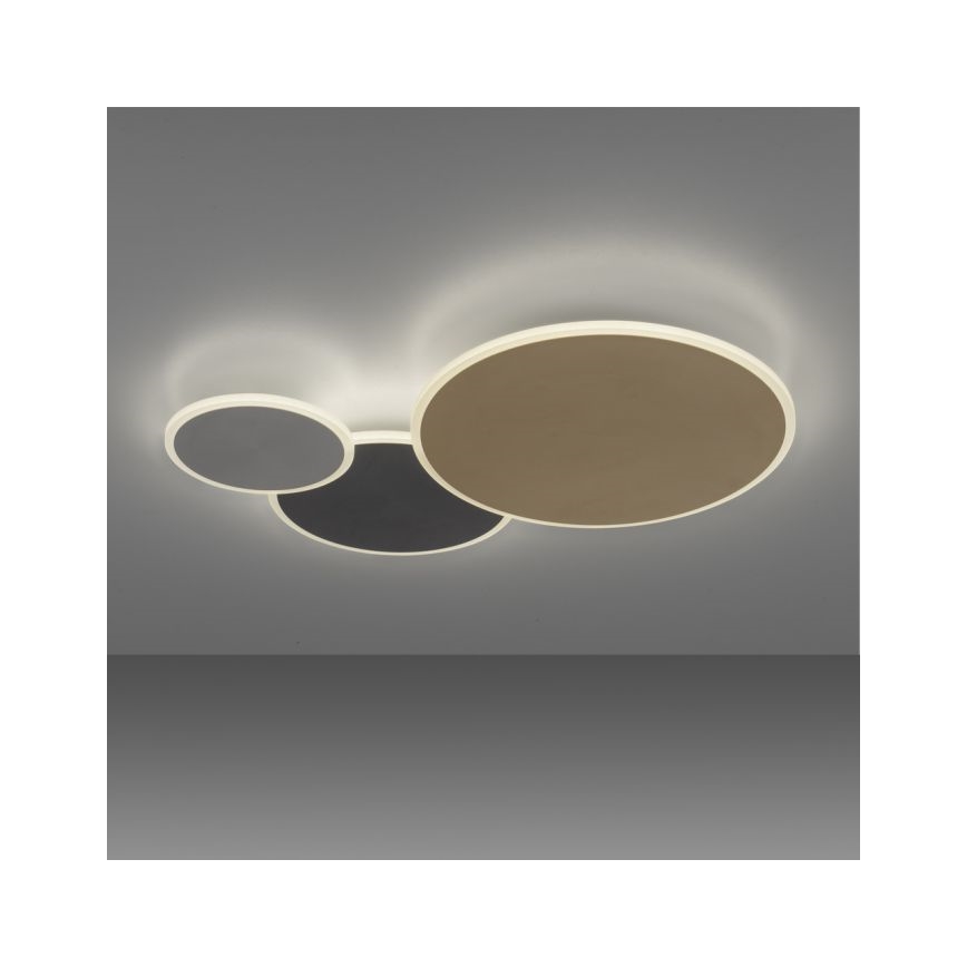 Paul Neuhaus 8007-70 - LED Dimmable ceiling light Q-PIATO LED/35W/230V 2700-5000K Wi-Fi + remote control