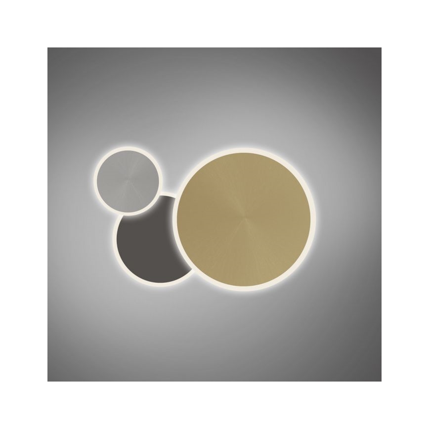 Paul Neuhaus 8007-70 - LED Dimmable ceiling light Q-PIATO LED/35W/230V 2700-5000K Wi-Fi + remote control
