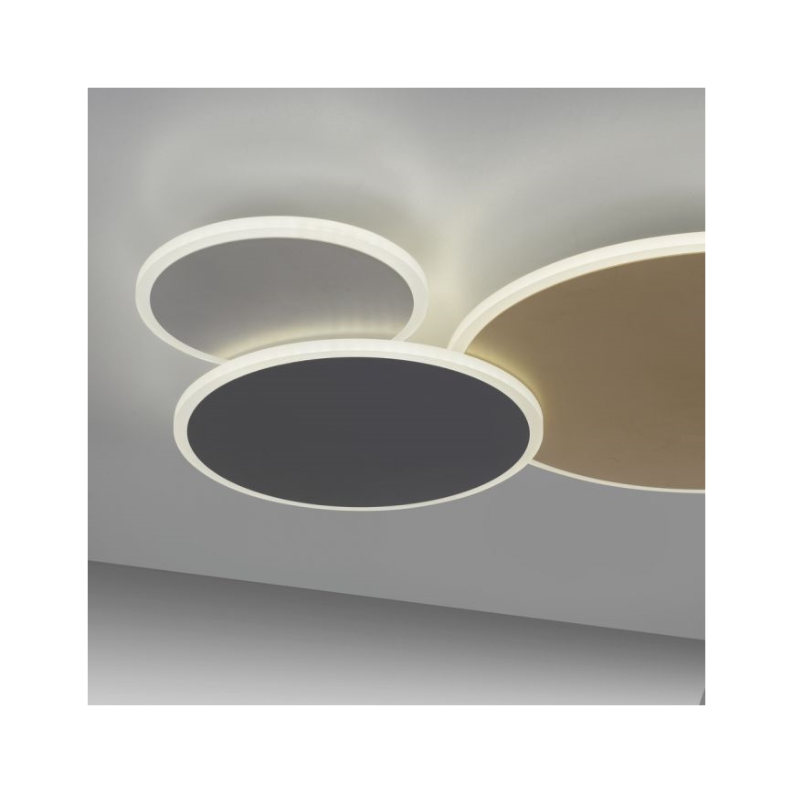 Paul Neuhaus 8007-70 - LED Dimmable ceiling light Q-PIATO LED/35W/230V 2700-5000K Wi-Fi + remote control