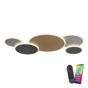 Paul Neuhaus 8008-70 - LED Dimmable ceiling light Q-PIATO LED/49W/230V 2700-5000K Wi-Fi + remote control