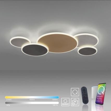 Paul Neuhaus 8008-70 - LED Dimmable ceiling light Q-PIATO LED/49W/230V 2700-5000K Wi-Fi + remote control