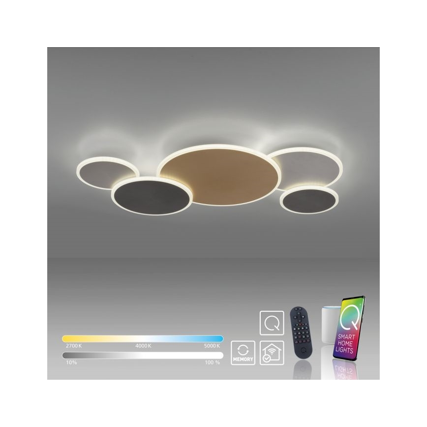Paul Neuhaus 8008-70 - LED Dimmable ceiling light Q-PIATO LED/49W/230V 2700-5000K Wi-Fi + remote control