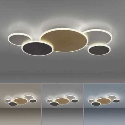 Paul Neuhaus 8008-70 - LED Dimmable ceiling light Q-PIATO LED/49W/230V 2700-5000K Wi-Fi + remote control