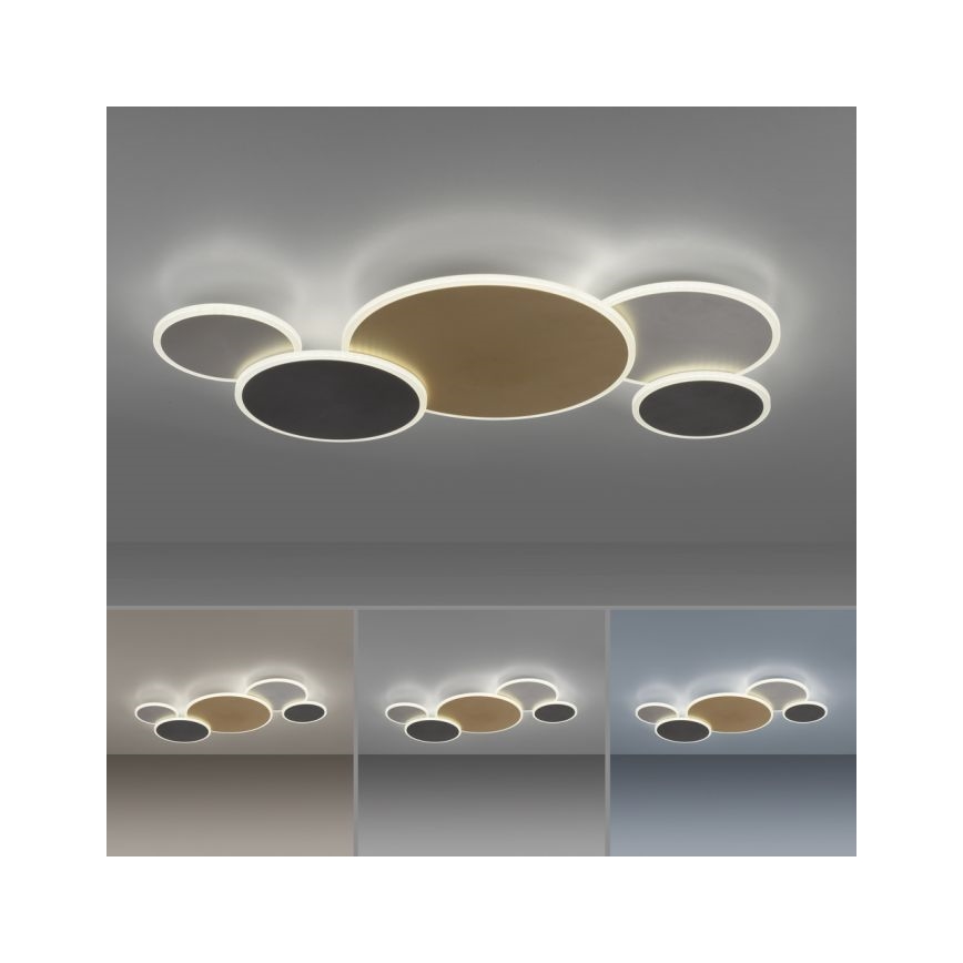 Paul Neuhaus 8008-70 - LED Dimmable ceiling light Q-PIATO LED/49W/230V 2700-5000K Wi-Fi + remote control