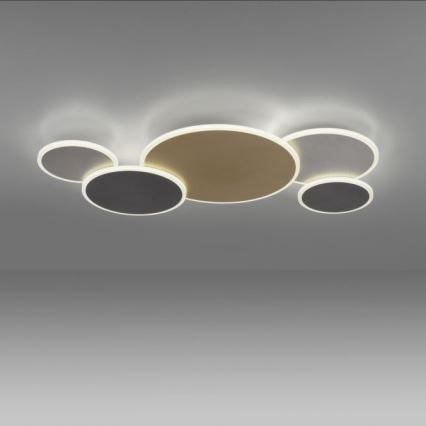 Paul Neuhaus 8008-70 - LED Dimmable ceiling light Q-PIATO LED/49W/230V 2700-5000K Wi-Fi + remote control