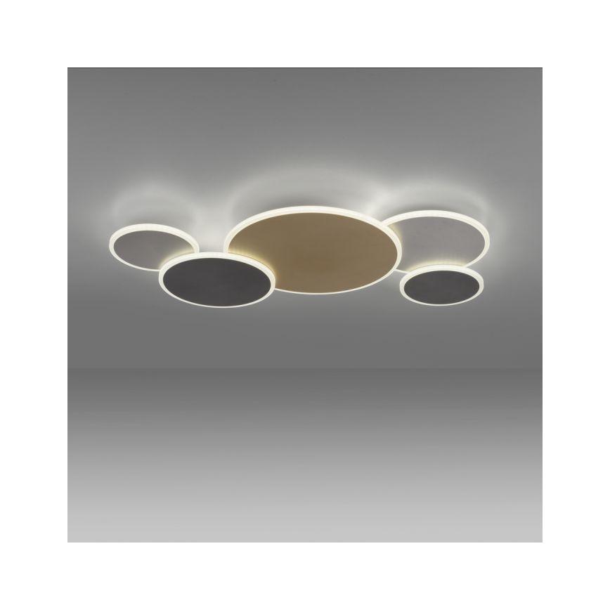 Paul Neuhaus 8008-70 - LED Dimmable ceiling light Q-PIATO LED/49W/230V 2700-5000K Wi-Fi + remote control