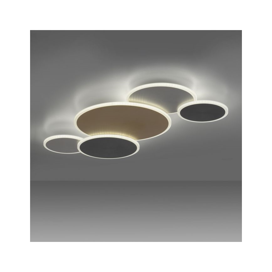 Paul Neuhaus 8008-70 - LED Dimmable ceiling light Q-PIATO LED/49W/230V 2700-5000K Wi-Fi + remote control