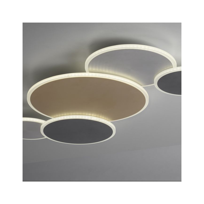 Paul Neuhaus 8008-70 - LED Dimmable ceiling light Q-PIATO LED/49W/230V 2700-5000K Wi-Fi + remote control
