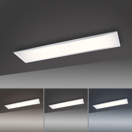 Paul Neuhaus 8112-17 - LED Dimmable surface-mounted panel FLAG LED/35W/230V
