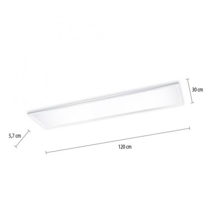 Paul Neuhaus 8112-17 - LED Dimmable surface-mounted panel FLAG LED/35W/230V