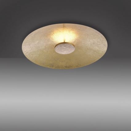 Paul Neuhaus 8132-12 - LED Dimmable ceiling light PLATE LED/25W/230V