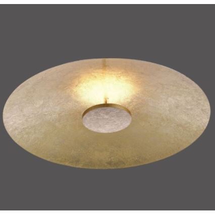 Paul Neuhaus 8132-12 - LED Dimmable ceiling light PLATE LED/25W/230V