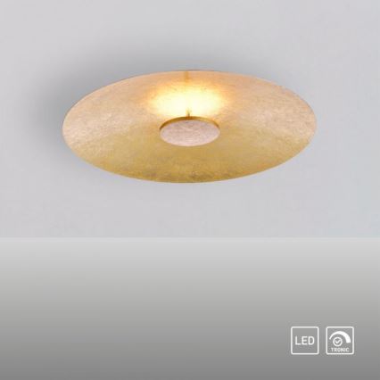 Paul Neuhaus 8132-12 - LED Dimmable ceiling light PLATE LED/25W/230V