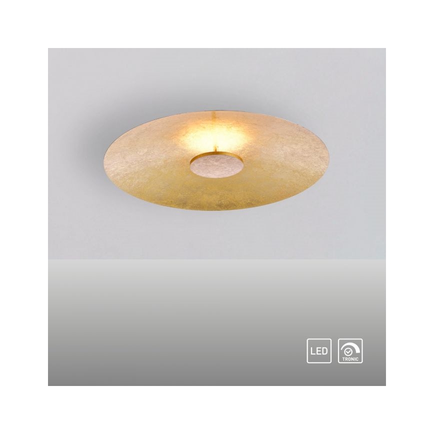 Paul Neuhaus 8132-12 - LED Dimmable ceiling light PLATE LED/25W/230V