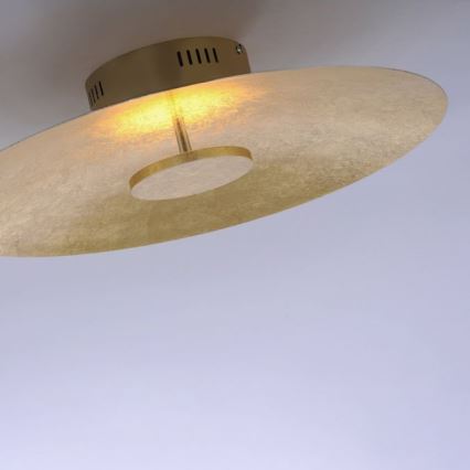 Paul Neuhaus 8132-12 - LED Dimmable ceiling light PLATE LED/25W/230V