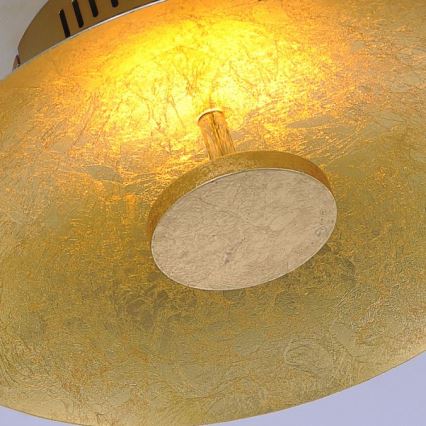 Paul Neuhaus 8132-12 - LED Dimmable ceiling light PLATE LED/25W/230V