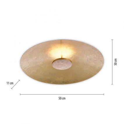 Paul Neuhaus 8132-12 - LED Dimmable ceiling light PLATE LED/25W/230V