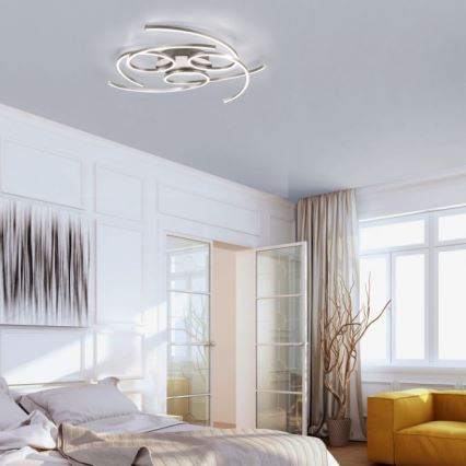 Paul Neuhaus 8165-55 - LED Dimming ceiling light DANILO 3xLED/12W/230V
