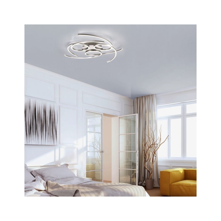 Paul Neuhaus 8165-55 - LED Dimming ceiling light DANILO 3xLED/12W/230V