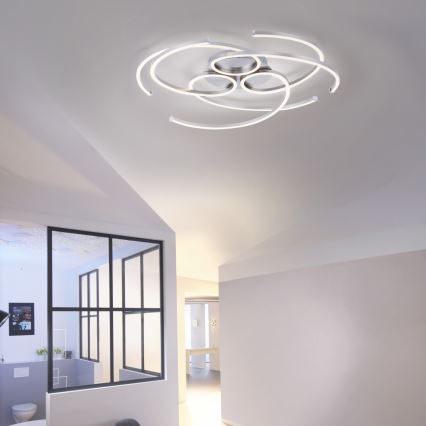 Paul Neuhaus 8165-55 - LED Dimming ceiling light DANILO 3xLED/12W/230V