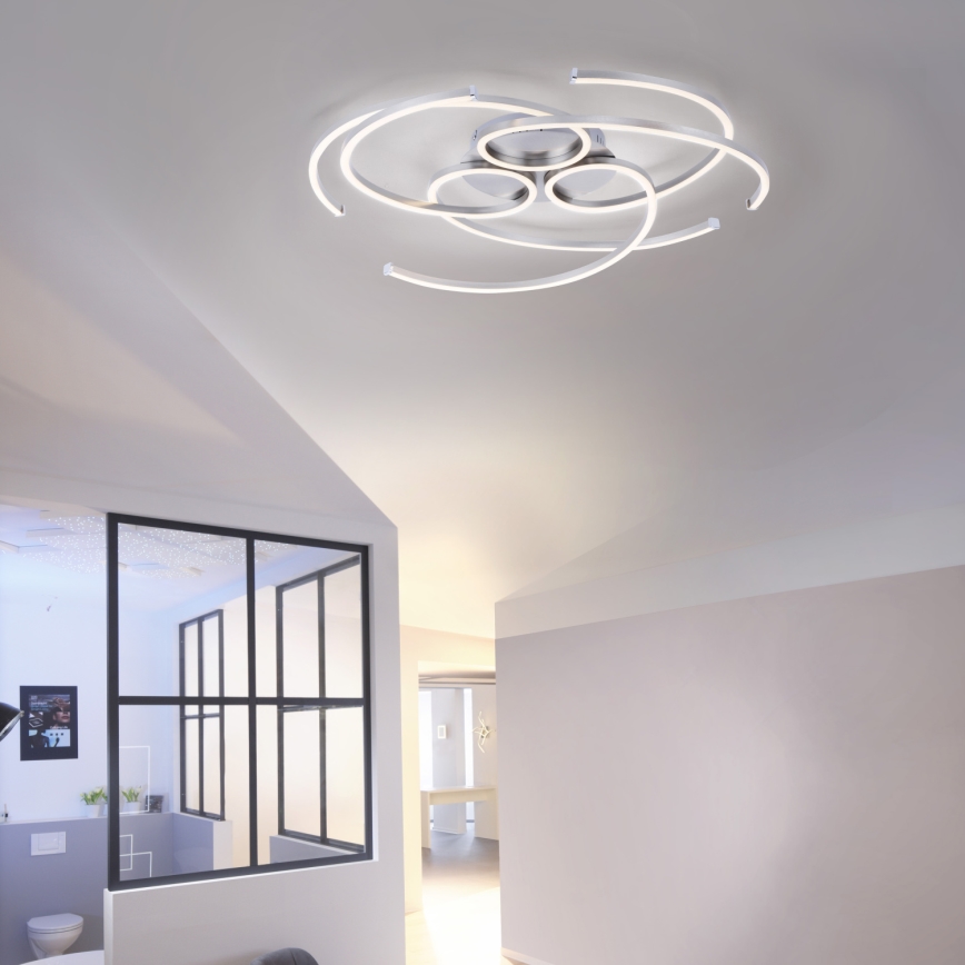 Paul Neuhaus 8165-55 - LED Dimming ceiling light DANILO 3xLED/12W/230V