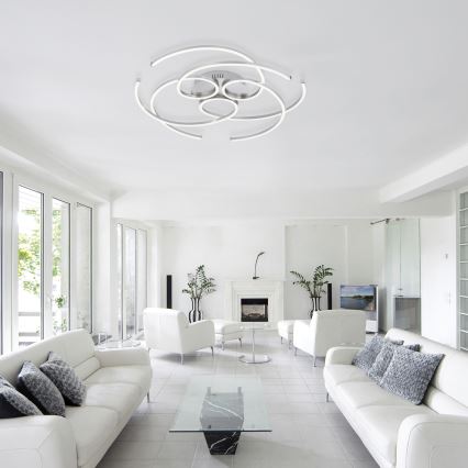 Paul Neuhaus 8165-55 - LED Dimming ceiling light DANILO 3xLED/12W/230V