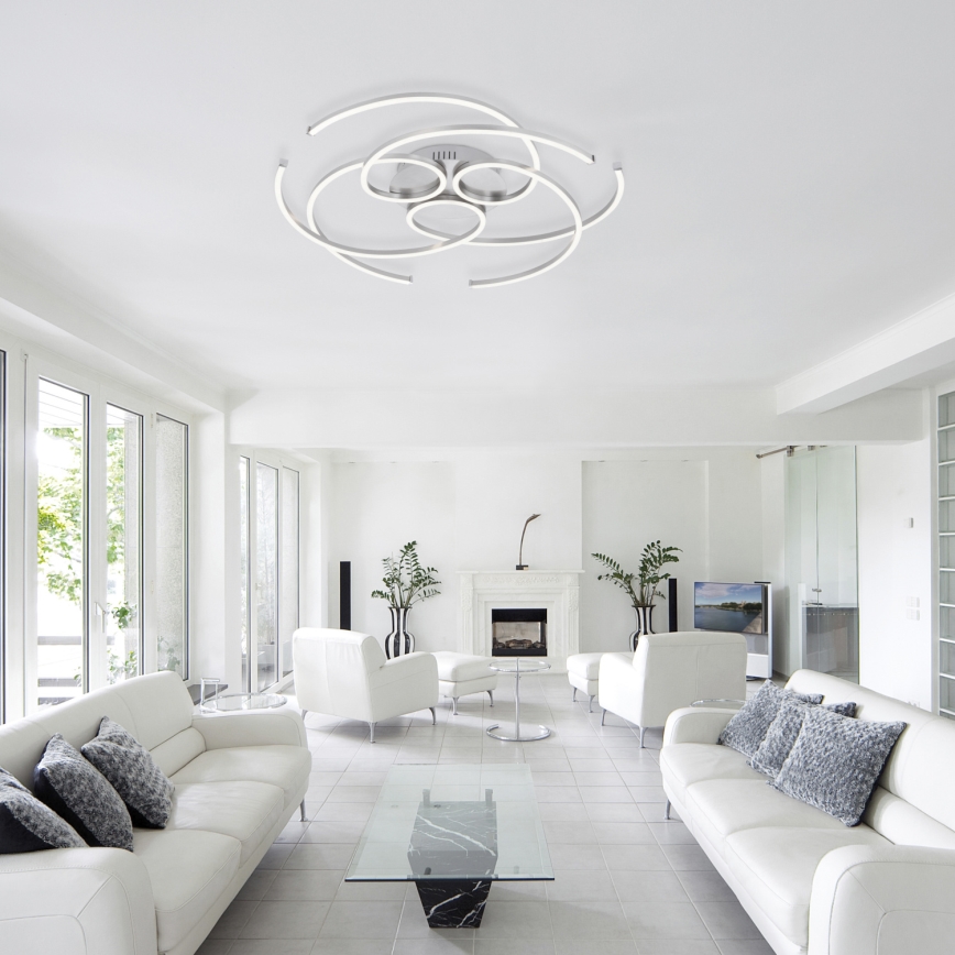 Paul Neuhaus 8165-55 - LED Dimming ceiling light DANILO 3xLED/12W/230V