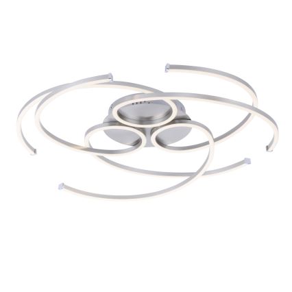 Paul Neuhaus 8165-55 - LED Dimming ceiling light DANILO 3xLED/12W/230V
