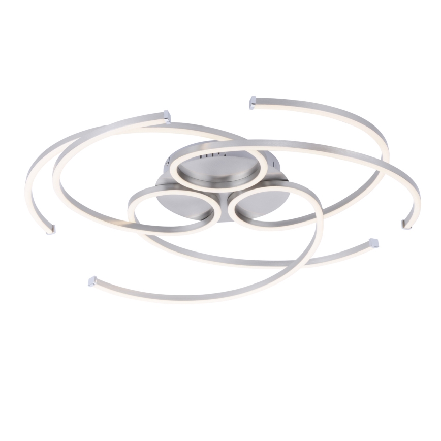 Paul Neuhaus 8165-55 - LED Dimming ceiling light DANILO 3xLED/12W/230V